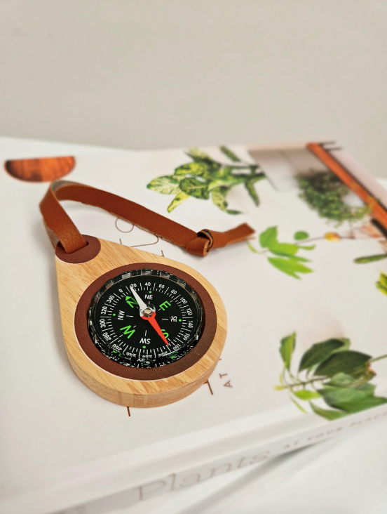 QTOYS I Wooden Compass
