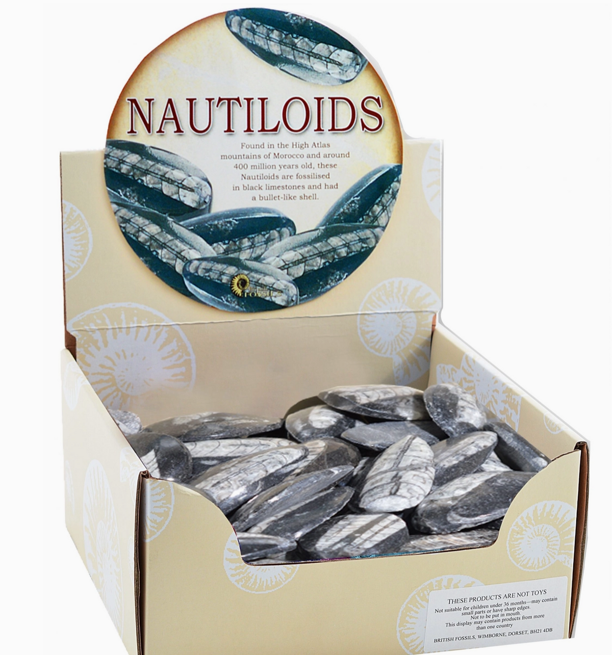 SCIENCE & NATURE I Nautiloids