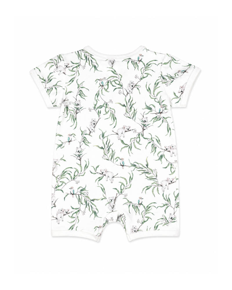 Bebe Taylor Organic Short Sleeved Suit