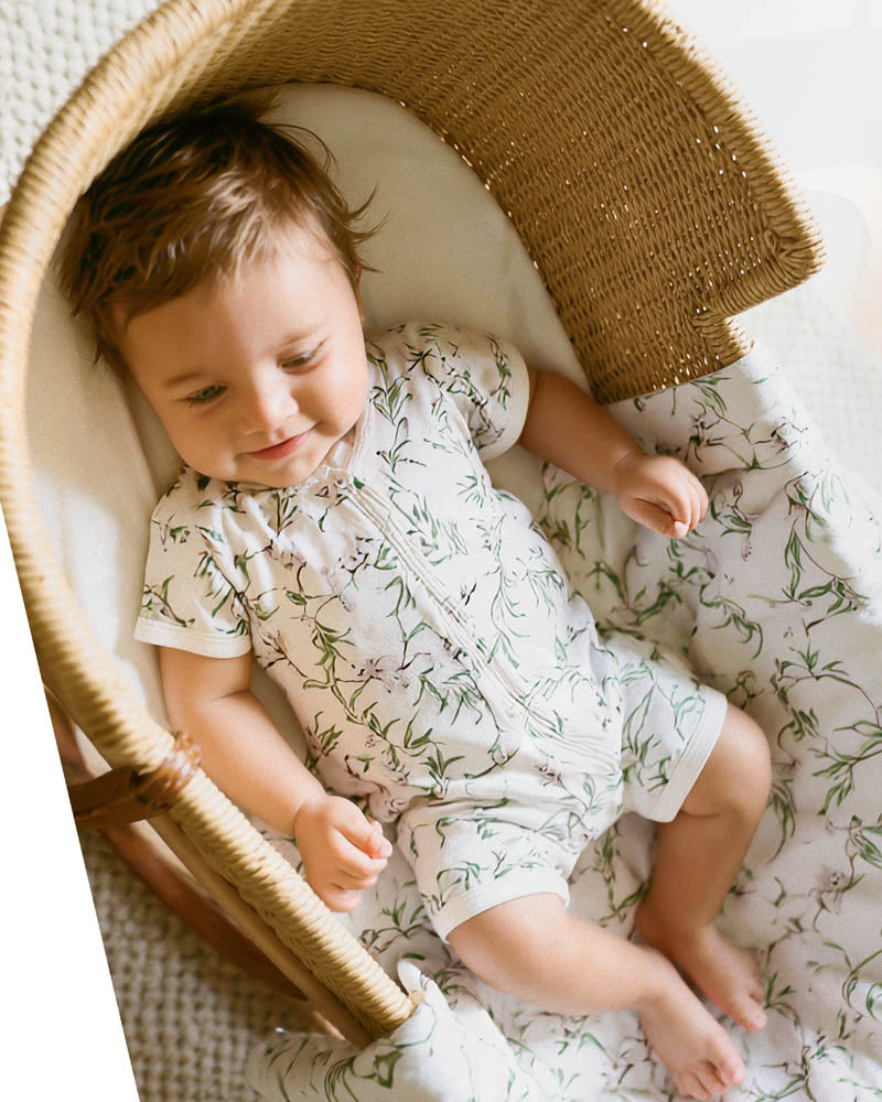 Bebe Taylor Organic Short Sleeved Suit